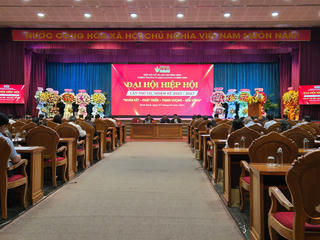 Ra mắt Ban chấp hành Hiệp hội Gỗ và Lâm sản Bình Định nhiệm kỳ 2025-2027