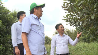 Macca Nutrition Việt Nam: Xây dựng vùng nguyên liệu hướng đến phát triển bền vững