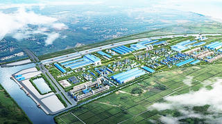 Kiên quyết xử lý hành vi vi phạm tại Cồn Xanh (Nam Định)