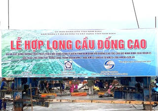 Vai trò và Tầm quan trọng đặc biệt của cầu Đống Cao tại Nam Định