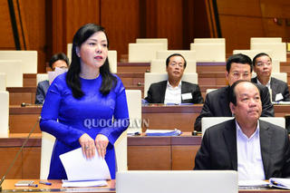 Bộ trưởng Bộ Y tế Nguyễn Thị Kim Tiến trả lời về việc làm giả hồ sơ tâm thần