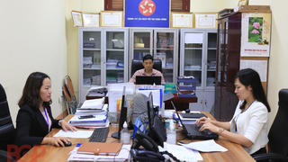 Văn phòng UBND tỉnh, TP trực thuộc Trung ương có bao nhiêu nhiệm vụ, quyền hạn?