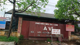 Hà Nội: Tiểu thương Chợ đầu mối gia cầm Hà Vỹ cầu cứu