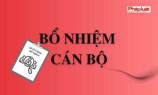 Bổ nhiệm ông Trịnh Mạnh Linh làm Trợ lý Thủ tướng Chính phủ