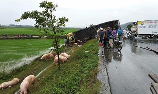 Xe chở lợn tông xe đông lạnh, 3 người nguy kịch