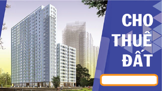 Phải xác định tiền thuê đất đối với tài sản đơn vị sự nghiệp công lập cho thuê