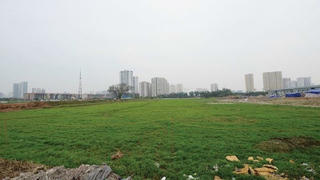 Hà Nội yêu cầu đẩy mạnh công tác quy hoạch, kế hoạch sử dụng đất các cấp