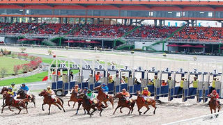 Hà Nội báo cáo Thủ tướng xem xét, "gỡ vướng" cho dự án Trường đua ngựa Sóc Sơn