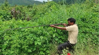 Điều tra vụ người săn thú bắn tử vong người đi bẫy gà rừng