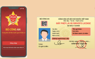 Hướng dẫn cập nhật thông tin giấy phép lái xe mới trên VNeID