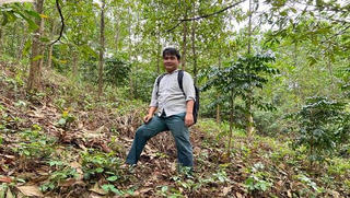 Ban Quản lý rừng phòng hộ Đồng Hới: Giữ mãi lá phổi xanh trong lòng thành phố