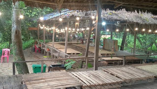 Bố Trạch, Quảng Bình: Buộc khôi phục hiện trạng hàng chục ngàn m2 rừng phòng hộ