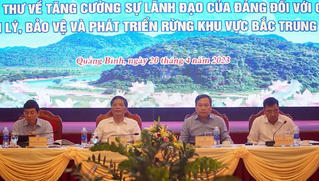 Hội nghị sơ kết 5 năm thực hiện Chỉ thị số 13-CT/TW khu vực 6 tỉnh Bắc Trung Bộ 