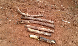 Đào đất trồng chuối, phát hiện 60 quả bom bi chưa nổ