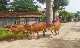 Hơn 200 người diễn tập ứng phó với bão lũ tại Quảng Trị