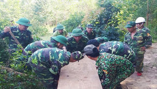 Thu giữ khối lượng lớn gỗ lậu cất giấu trong rừng sâu 