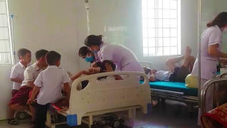 26 học sinh Tiểu học nhập viện cấp cứu vì ong đốt trong giờ ra chơi