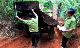 Mật phục bắt quả tang 2 xe đang chở gỗ “khủng” không rõ nguồn gốc