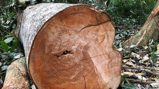 Bắt giữ đối tượng bị truy nã đặc biệt