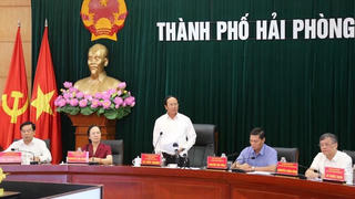 Hải Phòng khởi động lại hoạt động các Tổ công tác phòng, chống dịch bệnh