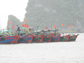 Tỉnh Quảng Ninh sẽ tạm dừng cấp phép phương tiện thủy ra khơi để đảm bảo an toàn