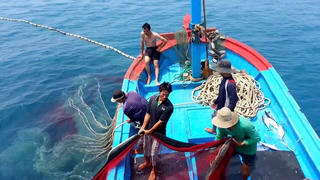 4.219 giấy phép được giao hạn khai thác thủy sản cho các tàu cá hoạt động trên địa bàn tỉnh Quảng Ninh