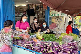 Sẽ hỗ trợ người lao động tự do không đăng ký tạm trú tại TP HCM bị ảnh hưởng dịch COVID-19 