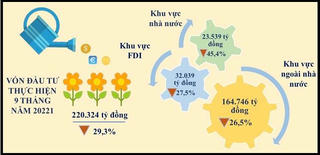 Vốn đầu tư trong và ngoài nước vào TP HCM đều giảm do dịch COVID-19
