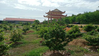 Dân phản đối việc chất phân bò, rơm rạ trong nghĩa trang liệt sĩ xã Nhơn Thọ (Bình Định)