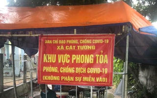 Tạm đình chỉ công tác 1 Bí thư và 1 Chủ tịch xã ở Bình Định