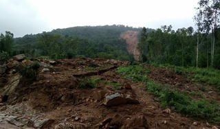 Sạt lở núi Trang Dài ở Bình Định vùi lấp nhiều ha đất rừng, ruộng lúa, hoa màu