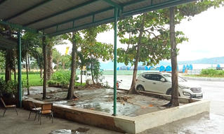 Từ phản ánh của Báo PLVN, Bình Định đề xuất cải tạo, chỉnh trang bồn hoa ở khu vực vòng xoay Mũi Tấn