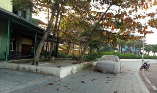 Chủ tịch UBND tỉnh Bình Định chỉ đạo cải tạo, chỉnh trang bồn hoa ở khu vực vòng xoay Mũi Tấn