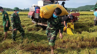 Phú Yên phấn đấu đến năm 2030 thu nhập bình quân đầu người khu vực nông thôn đạt 80 triệu đồng/năm