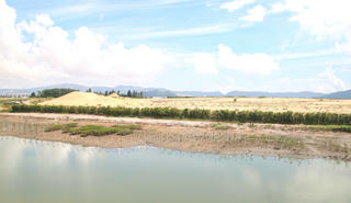 Nợ hơn 400 tỷ đồng tiền thuê đất, Thị Nại Eco Bay bị Bình Định ra “tối hậu thư”