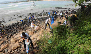 Chung tay bảo tồn hệ sinh thái rạn san hô Hòn Yến 