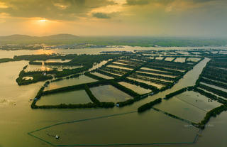 Khu sinh thái Cồn Chim - “ốc đảo xanh” tuyệt mỹ ở Bình Định