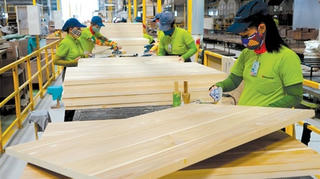 Bình Định chấp thuận nhà đầu tư dự án sản xuất gỗ gần 1.000 tỷ đồng