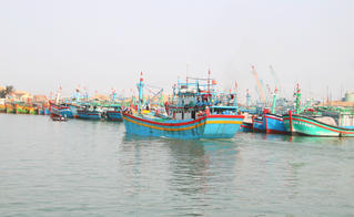 Triển khai các nhiệm vụ, giải pháp trọng tâm, cấp bách chống khai thác IUU 