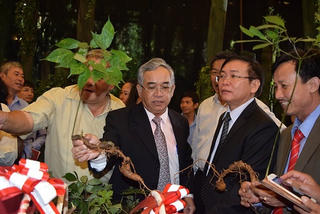 Triển lãm 'Sâm Ngọc Linh Kon Tum và các dược liệu khác'
