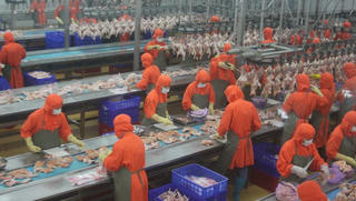 Thịt gà chế biến Việt Nam chính thức được phép xuất khẩu sang Nga