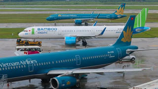 Nhiều hãng hàng không dừng khai thác tất cả đường bay quốc tế