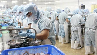 Doanh nghiệp thủy sản sụt giảm 35-50% đơn hàng ở nhiều thị trường do COVID-19