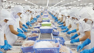 Xuất khẩu thủy sản 'ngấm đòn' vì Covid-19, VASEP đề xuất hỗ trợ