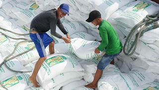 Từ 0 giờ ngày 26/4, thêm 38.000 tấn gạo nếp được xuất khẩu trong hạn ngạch tháng 4