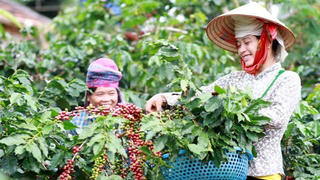 Nông sản Việt rộng đường “tiếp cận” thị trường Ấn Độ