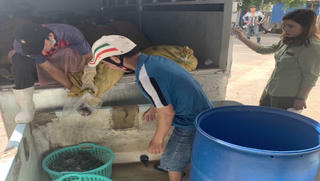 Cà Mau thu giữ hơn 1,3 tấn Hải sâm, Banh lông trái phép