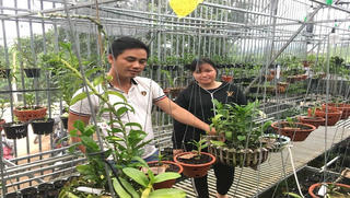 Bán cả tạ cà phê mua 1 cây lan rừng, sau 2 năm sở hữu cơ ngơi tiền tỷ