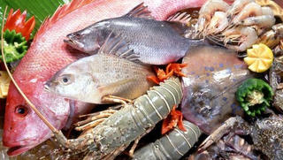 Xuất nhập khẩu thủy sản trong tháng 6 tiếp tục giảm