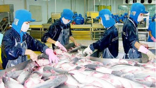 Algeria là thị trường xuất khẩu tiềm năng của thủy hải sản Việt Nam